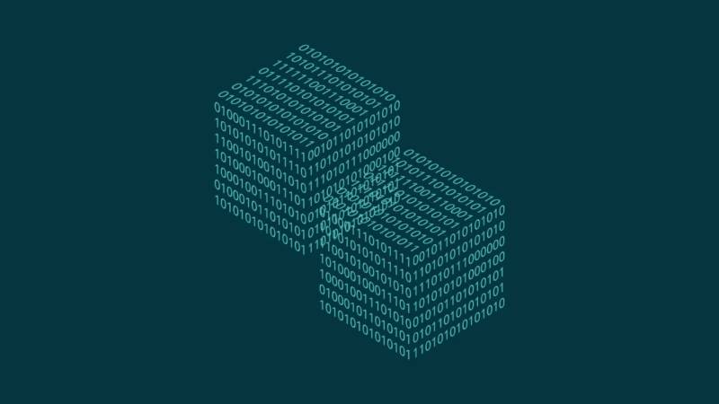 康马县信创改造:网络应用开发流程标准化的核心路径与实践